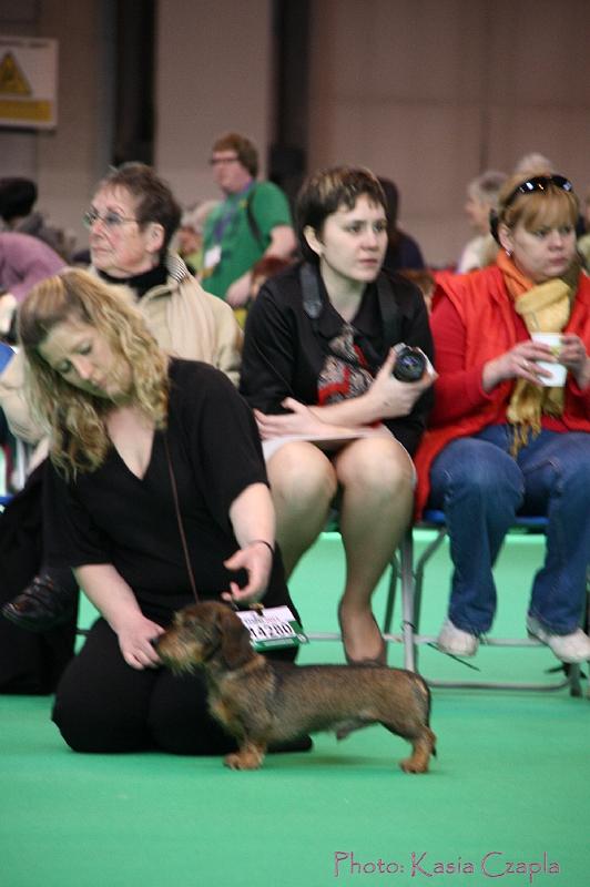 Crufts2011_2 794.jpg